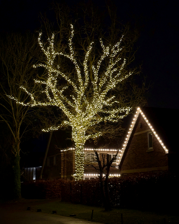 Christmas decoration lighting in garden tree at home in Oxfordshire