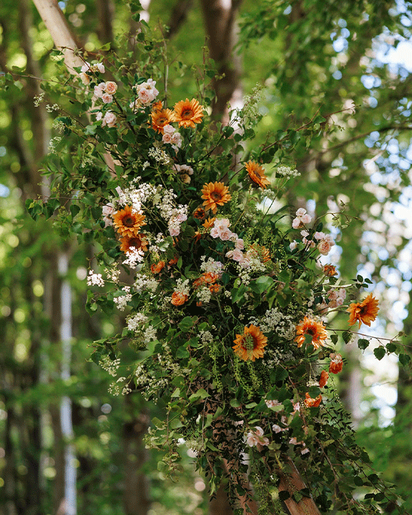 Wedding flower canopy display in Windsor, Berkshire